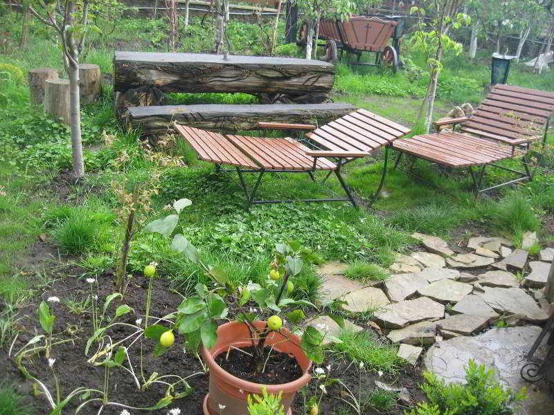 Leaganul Bucovinei Guest House Suceava Exterior foto